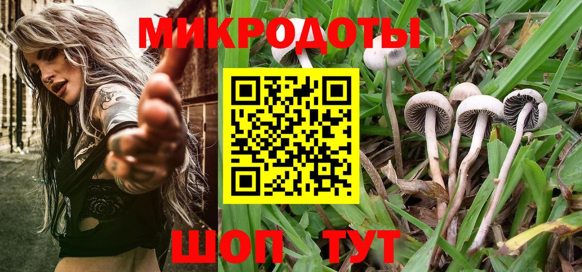 дарнет шоп  Псилоцибиновые грибы Magic Shrooms  Вход с VPN  Сарапул  Псилоцибиновые грибы Psilocybe 